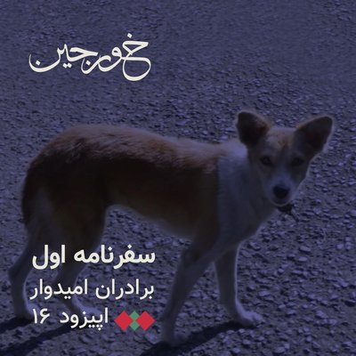 17-فیلیپین خیس، جهنم سگ‌ها