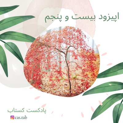 تولستوی و مبل بنفش قسمت بیست و پنجم