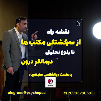 درمانگرِ درون | از سرگشتگی مکتب ها تا بلوغ تحلیلی | نقشه راه